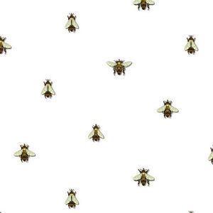 Meet your Posher, Kendall